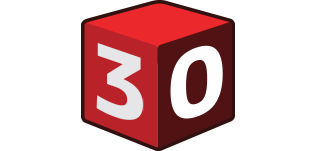 30주년 기념 로고